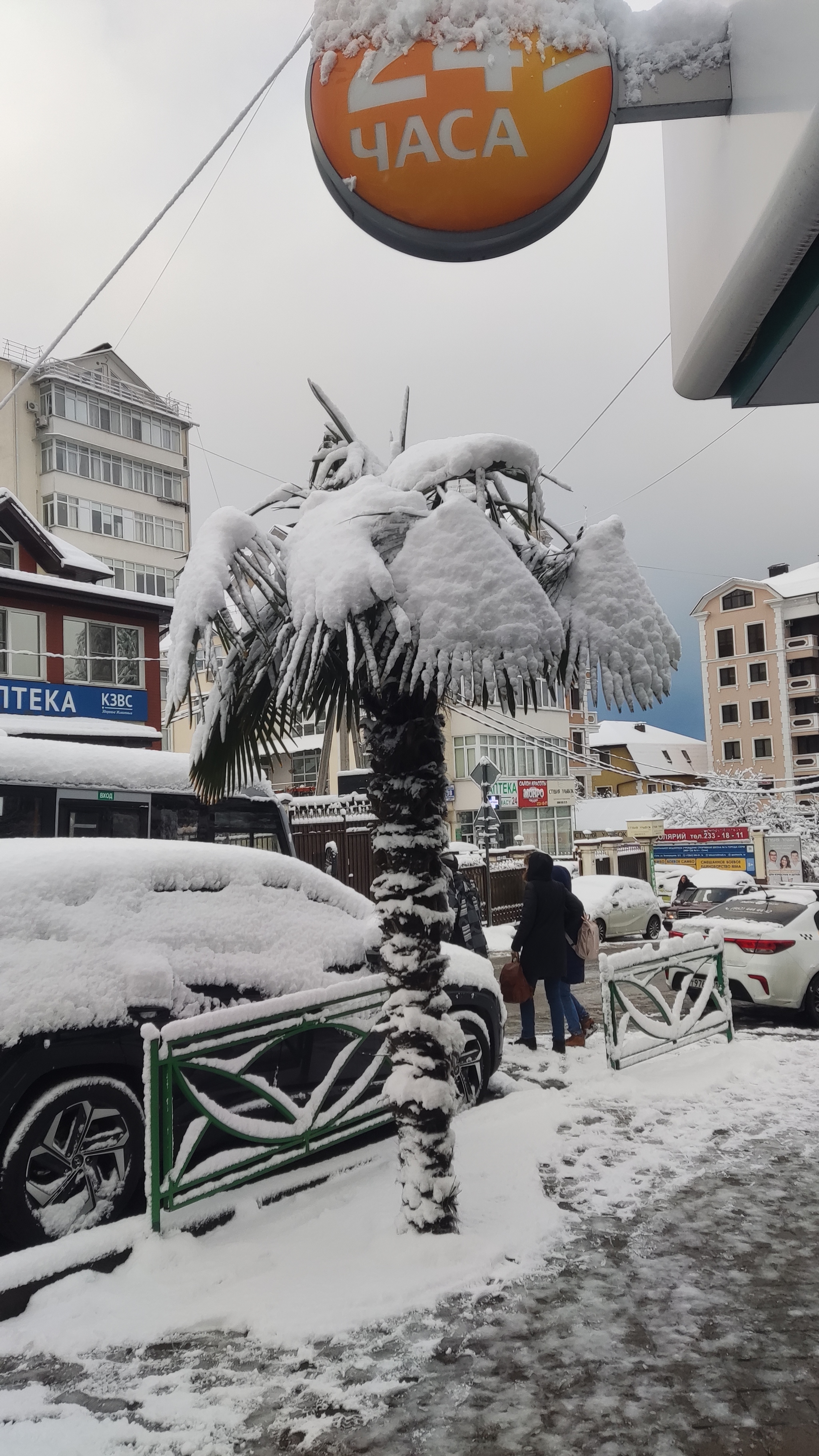 Snowfall in Sochi 18.03.2022 - My, Sochi, Spring, Longpost, Snowfall, 