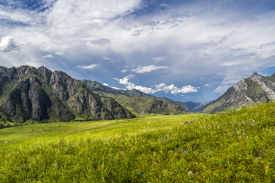 Mountain silence - My, Landscape, Nature, Altai Republic, The mountains, Summer, Sky, Clouds, Grass, Greenery, beauty, beauty of nature, 