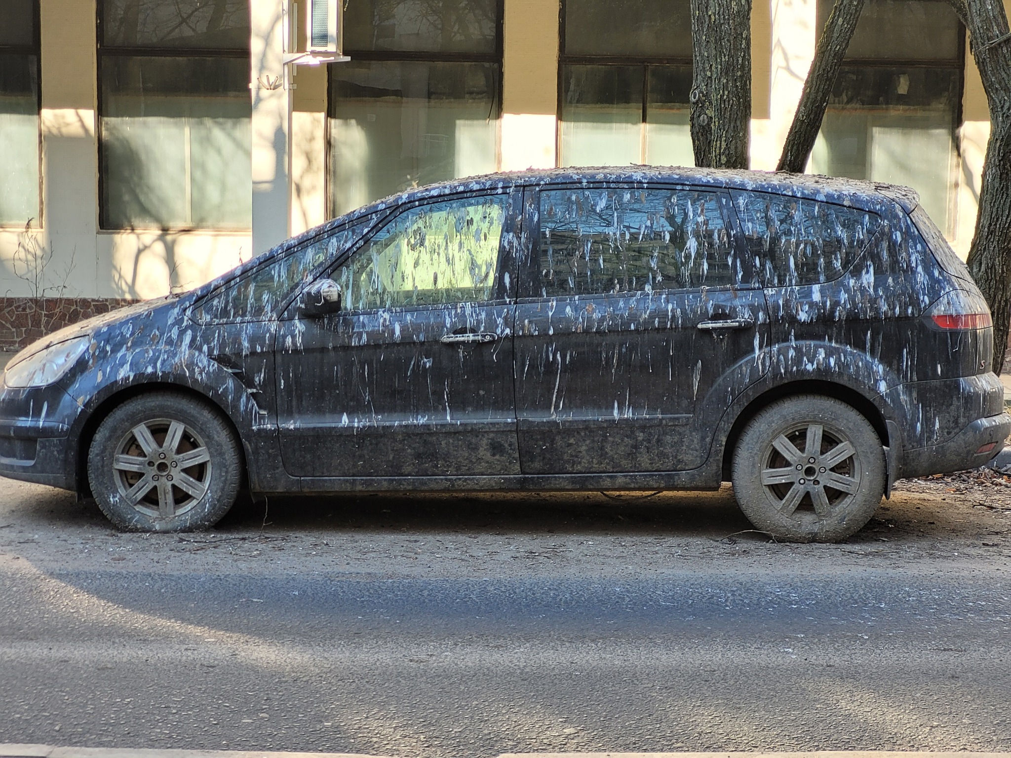 Parked successfully - My, Auto, Parking, Birds, Longpost, Litter, The photo, 