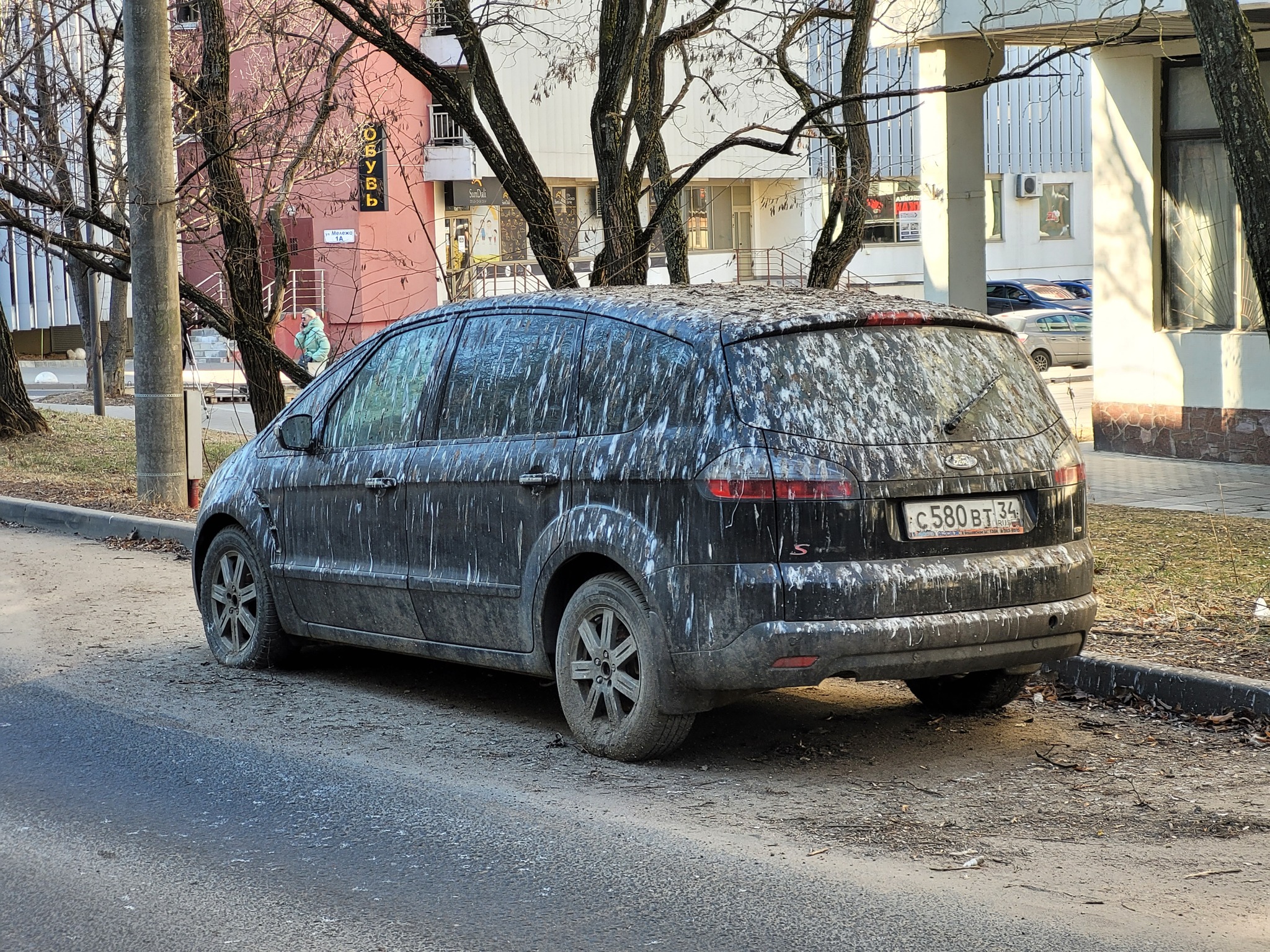 Parked successfully - My, Auto, Parking, Birds, Longpost, Litter, The photo, 