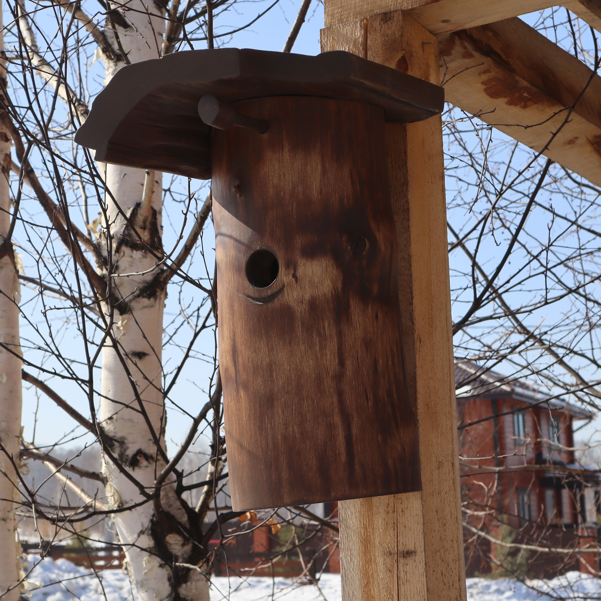 Дуплянка. Скворечник. Birdhouse. Синичник - Моё, Птицы, Природа, Скворечник, Доброта, Орнитология, Красота природы, Хищные птицы, The National Geographic, Весна, Природа России, Длиннопост, 