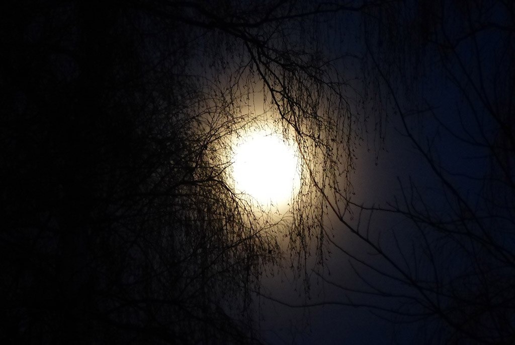 First Spring Full Moon - My, Nature, moon, The photo, beauty of nature, 