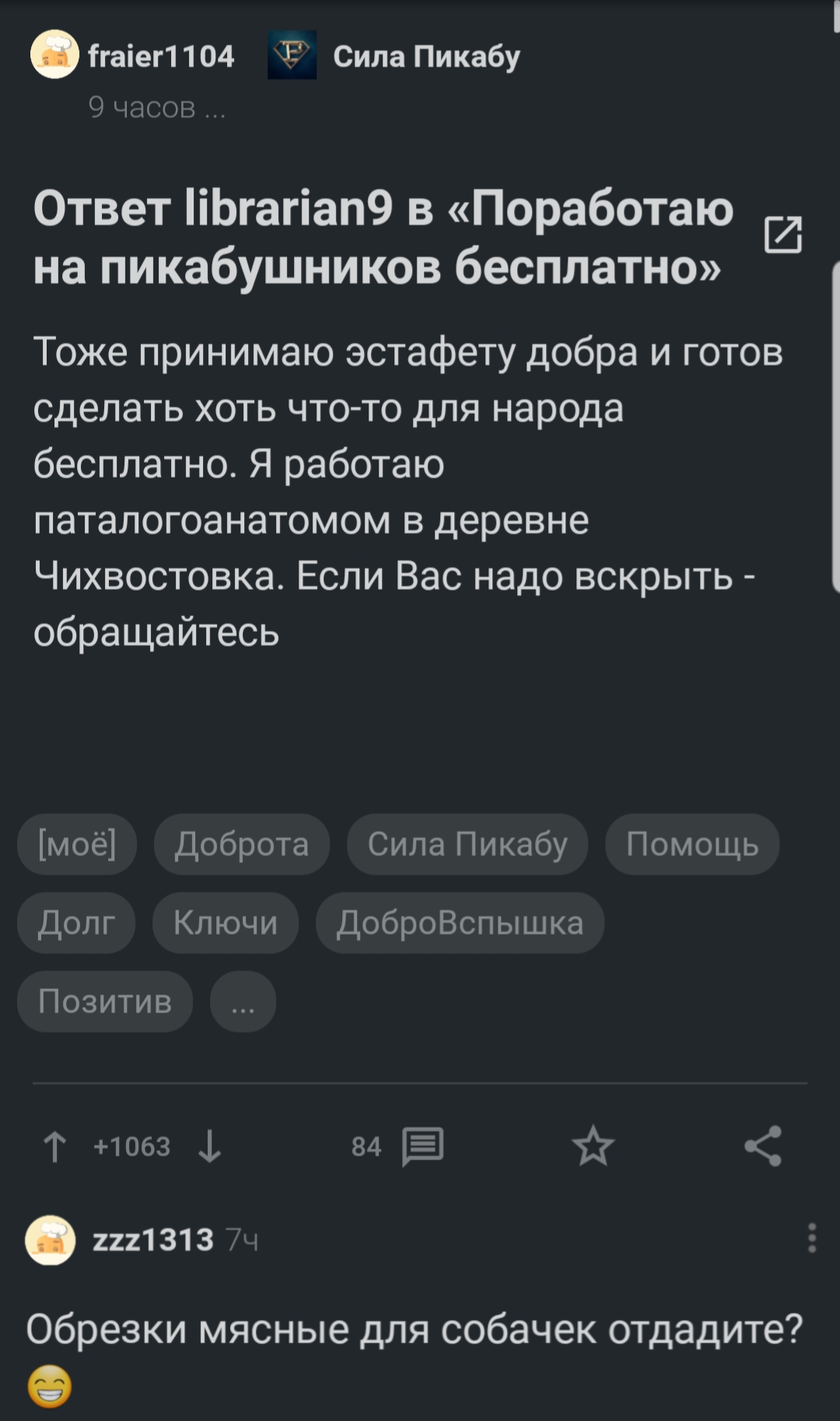 Ответ fraier1104 в «Поработаю на пикабушников бесплатно» | Пикабу