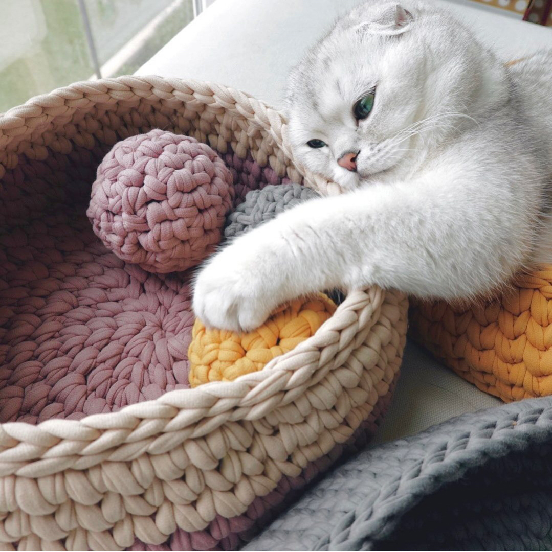 The first time is always exciting... - cat, Needlework, Handmade, Etsy, Basket, Instagram, 