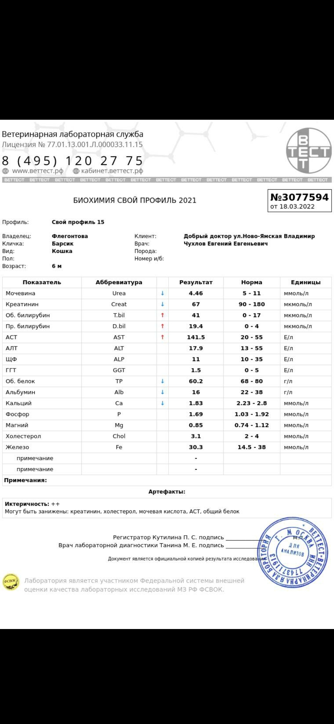 Помогите победить ФИП!!! - Моё, Лечение, Болезнь, Ветеринария, Метод ФИП, Длиннопост, Кот, 