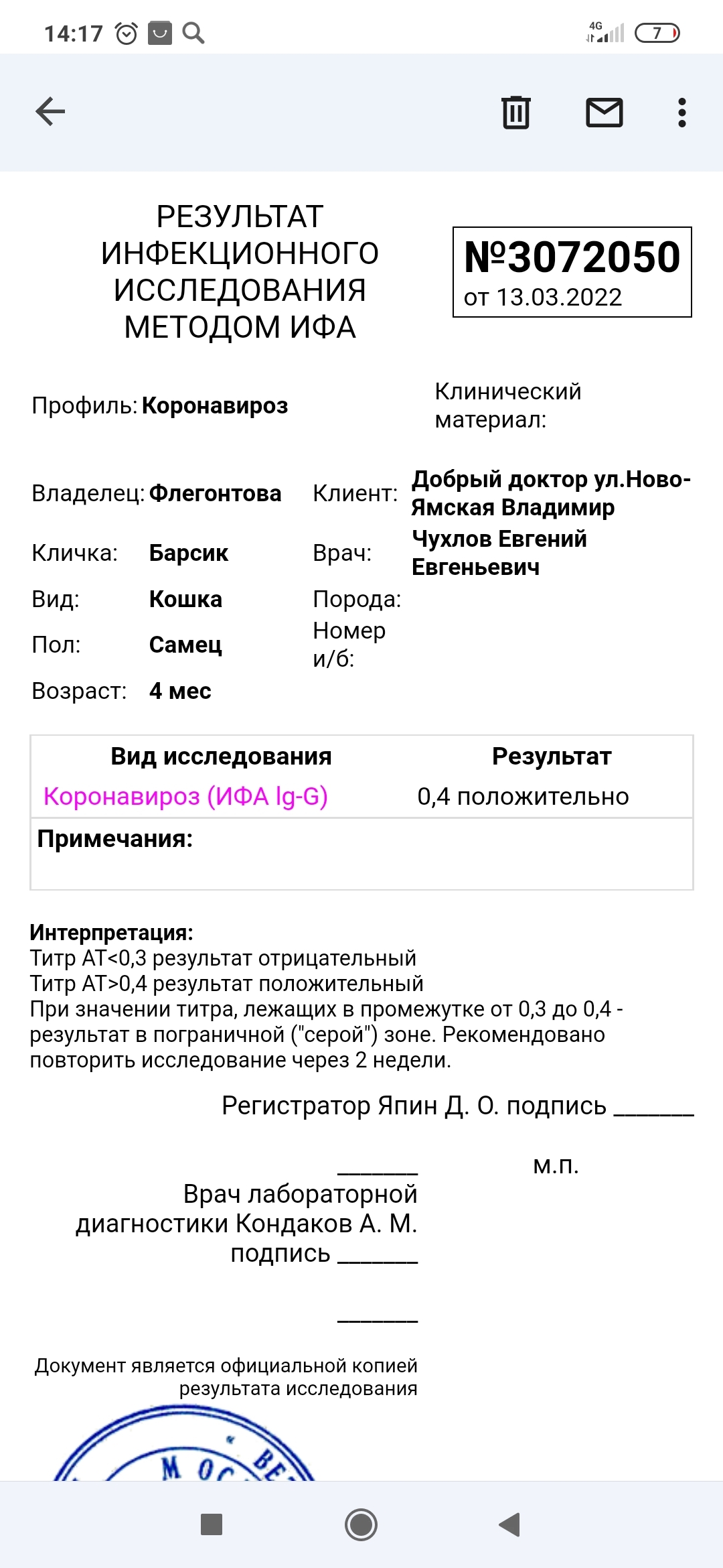 Помогите победить ФИП!!! - Моё, Лечение, Болезнь, Ветеринария, Метод ФИП, Длиннопост, Кот, 