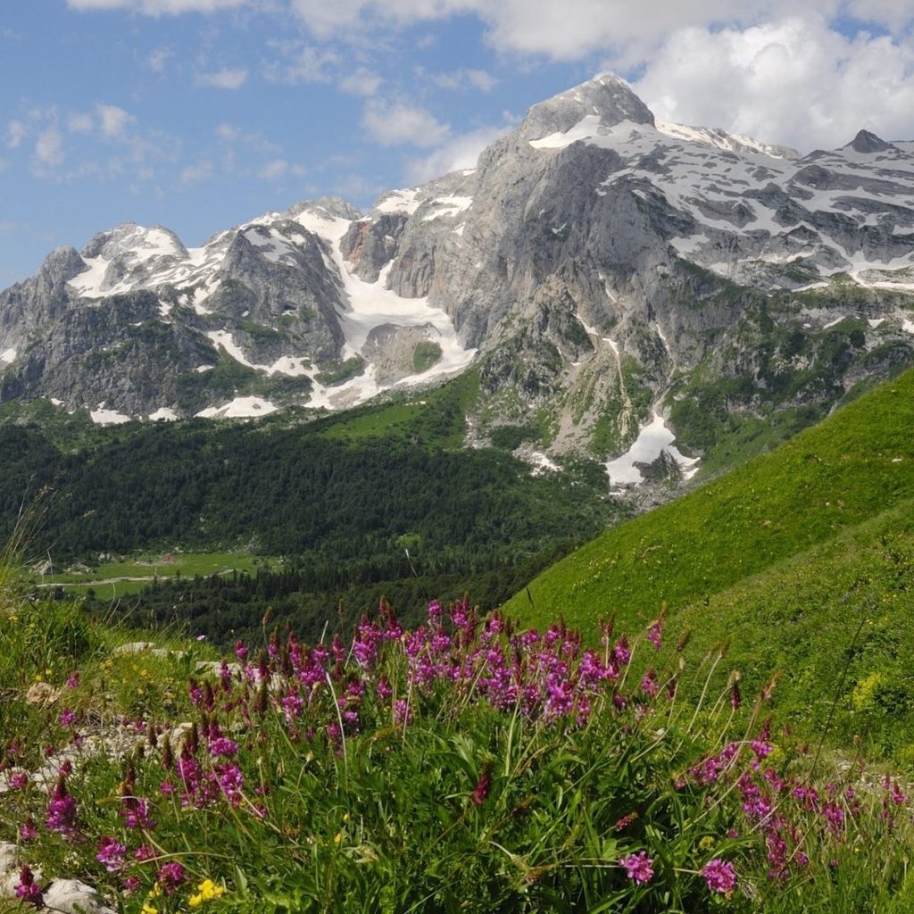 Mountains of Krasnodar - The mountains, Garbage, Relaxation, Humor, Krasnodar, The photo, Longpost, 