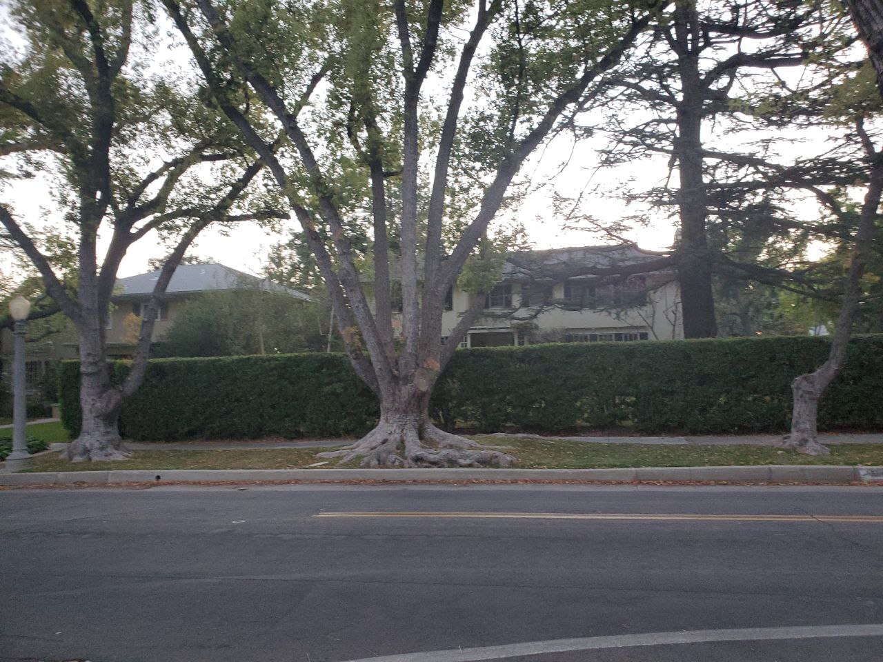 PHOTO: Los Angeles, a quiet street with private houses - My, Los Angeles, California, USA, Town, Quality of life, House, Mansion, The photo, The park, Longpost, 