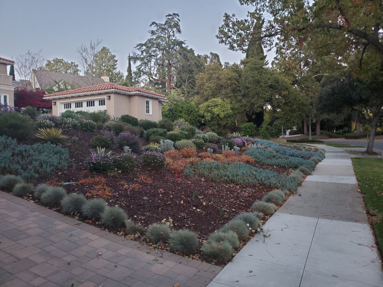 PHOTO: Los Angeles, a quiet street with private houses - My, Los Angeles, California, USA, Town, Quality of life, House, Mansion, The photo, The park, Longpost, 