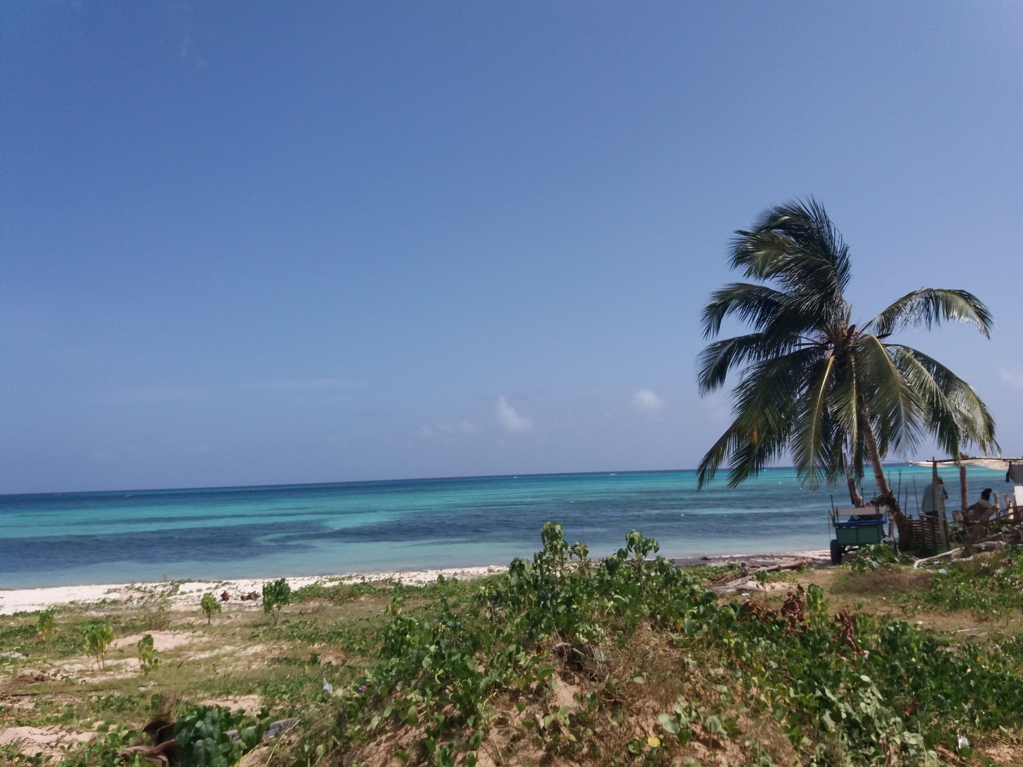 Atlantic - My, Atlantic Ocean, Cuba, Photo on sneaker, Longpost, 