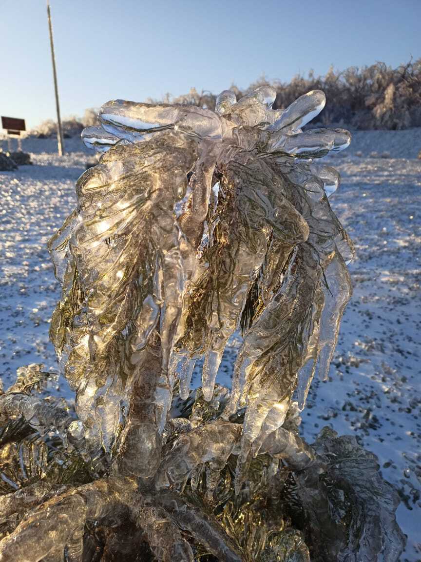 Freezing rain, Vladivostok - Vladivostok, The photo, Ice, Freezing rain, Longpost, 