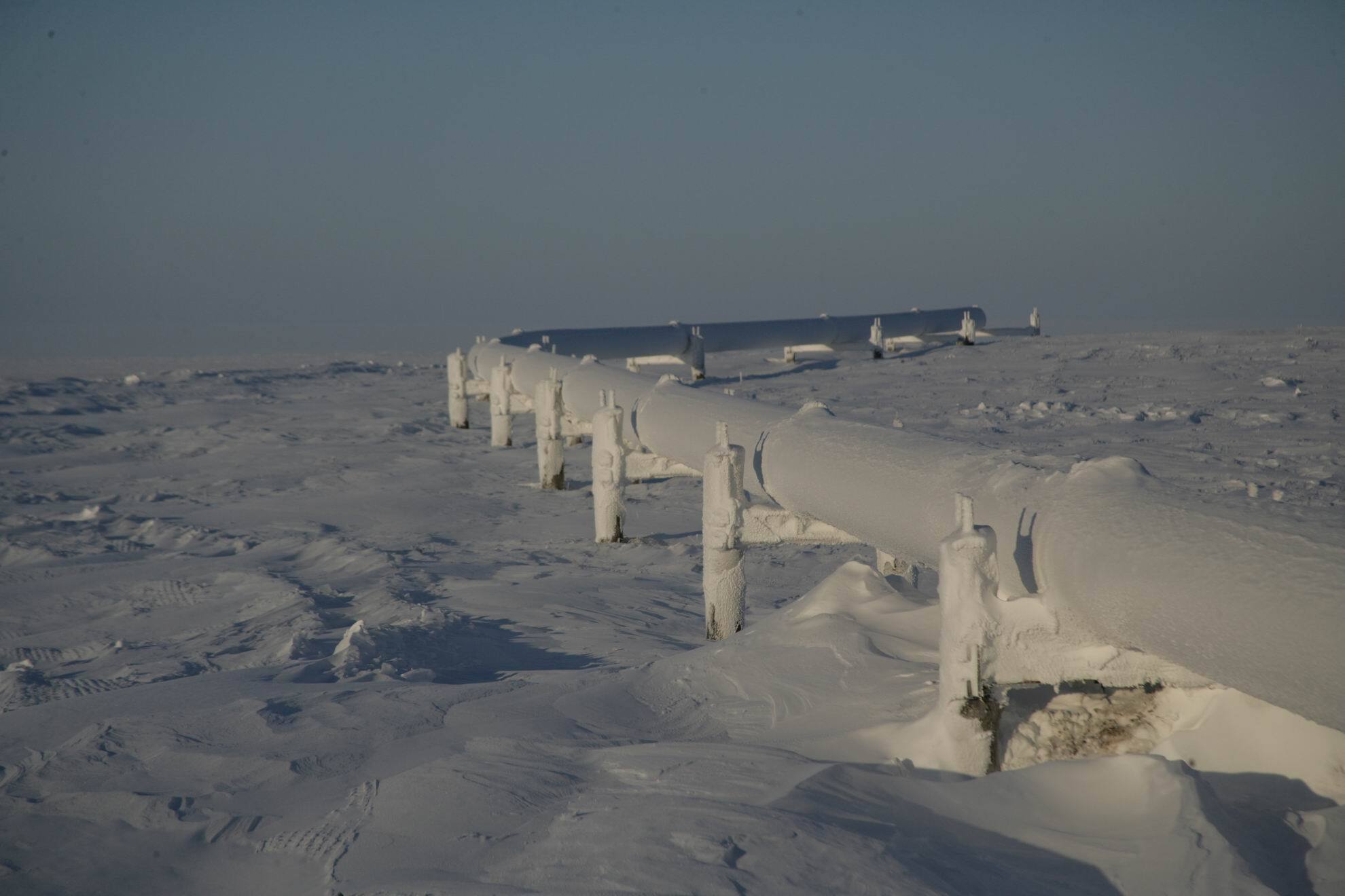 North (part 6) - Watch, North, Kola Peninsula, The nature of Russia, Winter, Reindeer, Gas pipe, Longpost, 