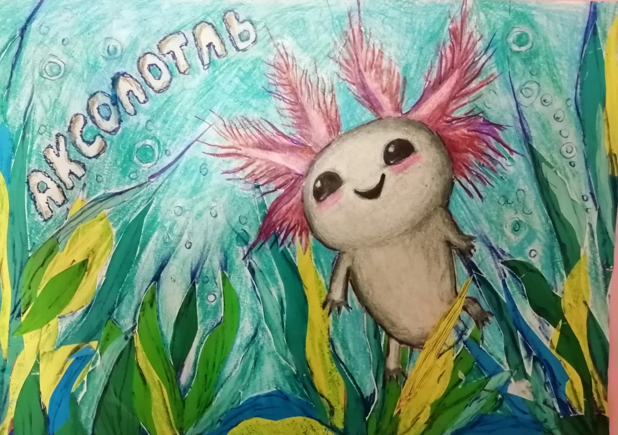 Axolotl is waiting! - My, The strength of the Peekaboo, Help me find, Animals, Kindness, Axolotl, Looking for a post, 