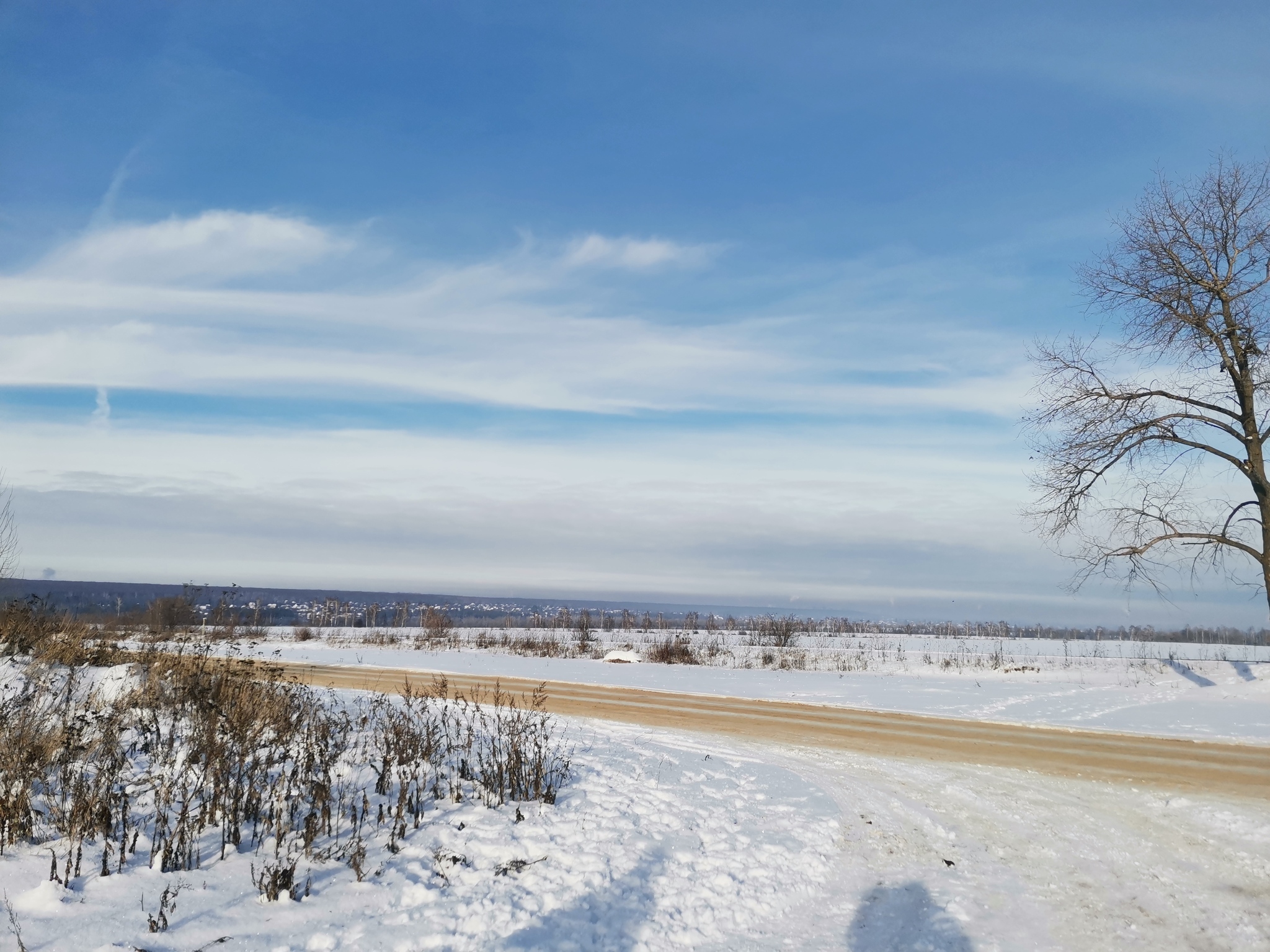 Zimushka - My, Winter, Snow, beauty, Voronezh, Longpost, The photo, 