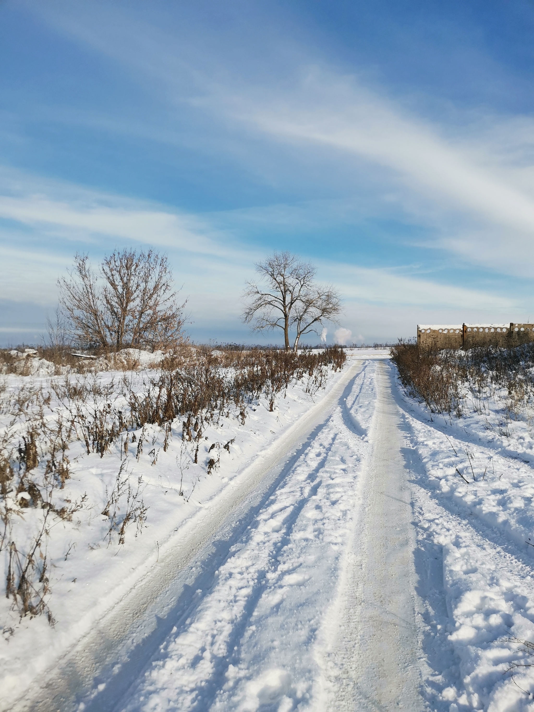 Zimushka - My, Winter, Snow, beauty, Voronezh, Longpost, The photo, 