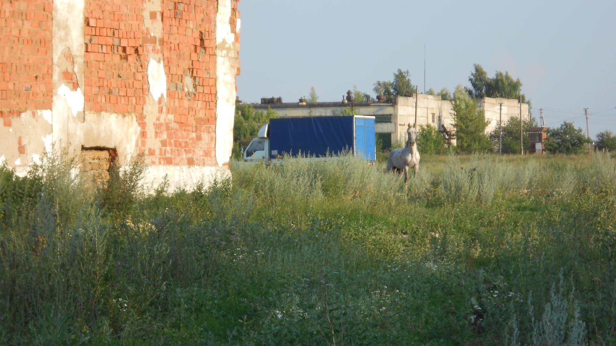 Mystical Stable, 2017, longpost - My, Adventures, Saransk, Mordovia, Stable, Abandoned, Longpost, Mystic, 