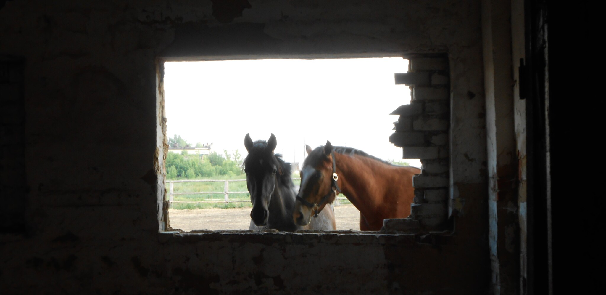 Mystical Stable, 2017, longpost - My, Adventures, Saransk, Mordovia, Stable, Abandoned, Longpost, Mystic, 