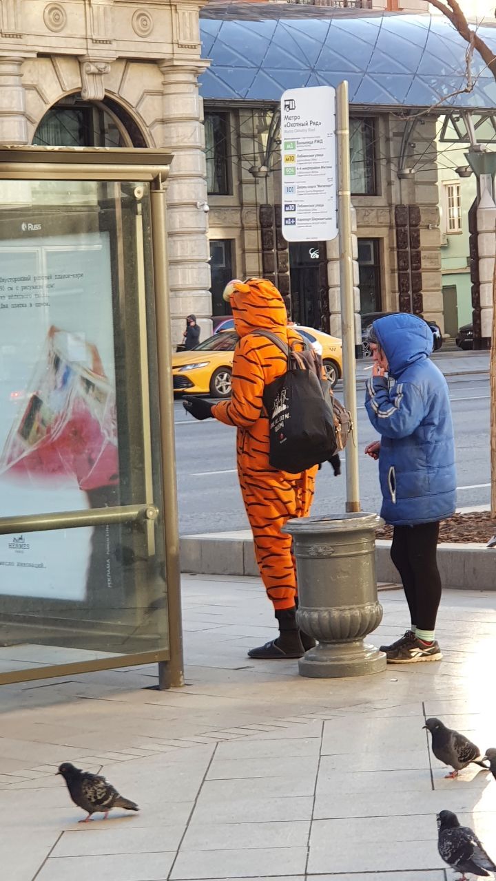 And the tiger is not the same anymore! - Tiger, Winnie the Pooh, Moscow, Longpost, 