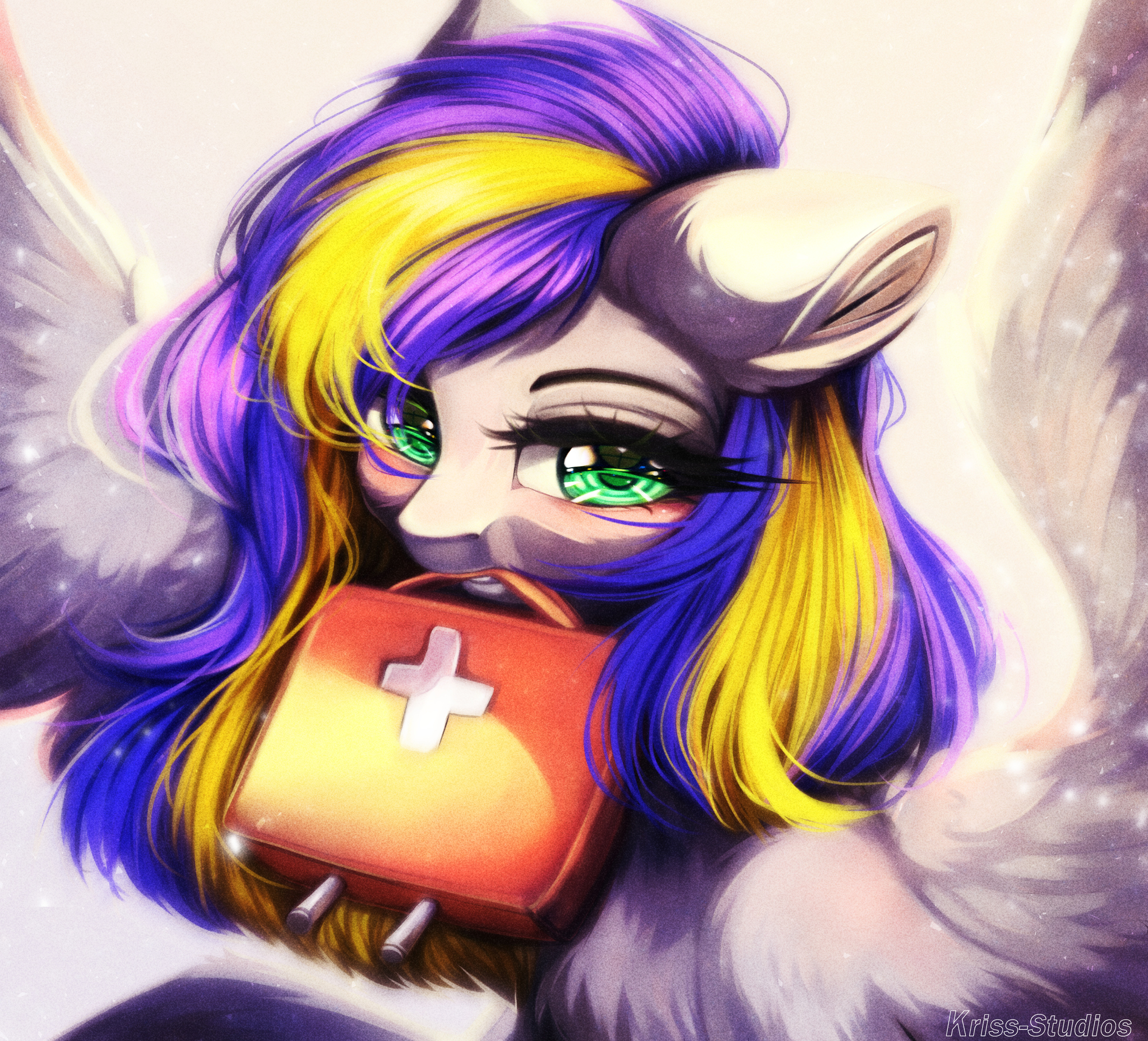 Keep a first aid kit - My little pony, Original character, 