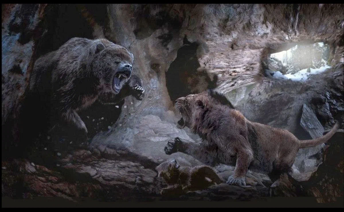 Cave Lion: Nightmare of bulls and bears for thousands of years, but could not defeat the most dangerous predator of the planet (the first people) - Cave Lion, a lion, Extinct species, Paleontology, Animal book, Yandex Zen, Longpost, 