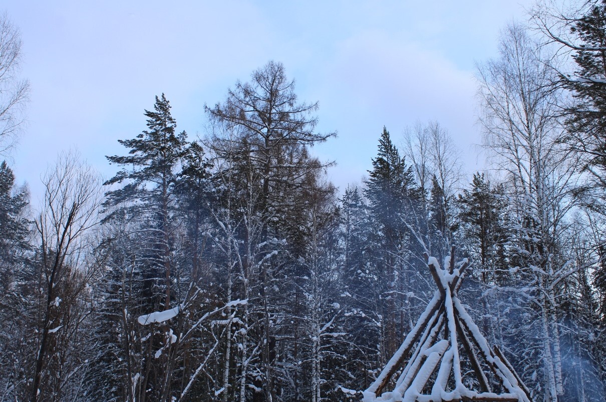 Winter forest - My, Winter, Tourism, Snow, The photo, Longpost, 