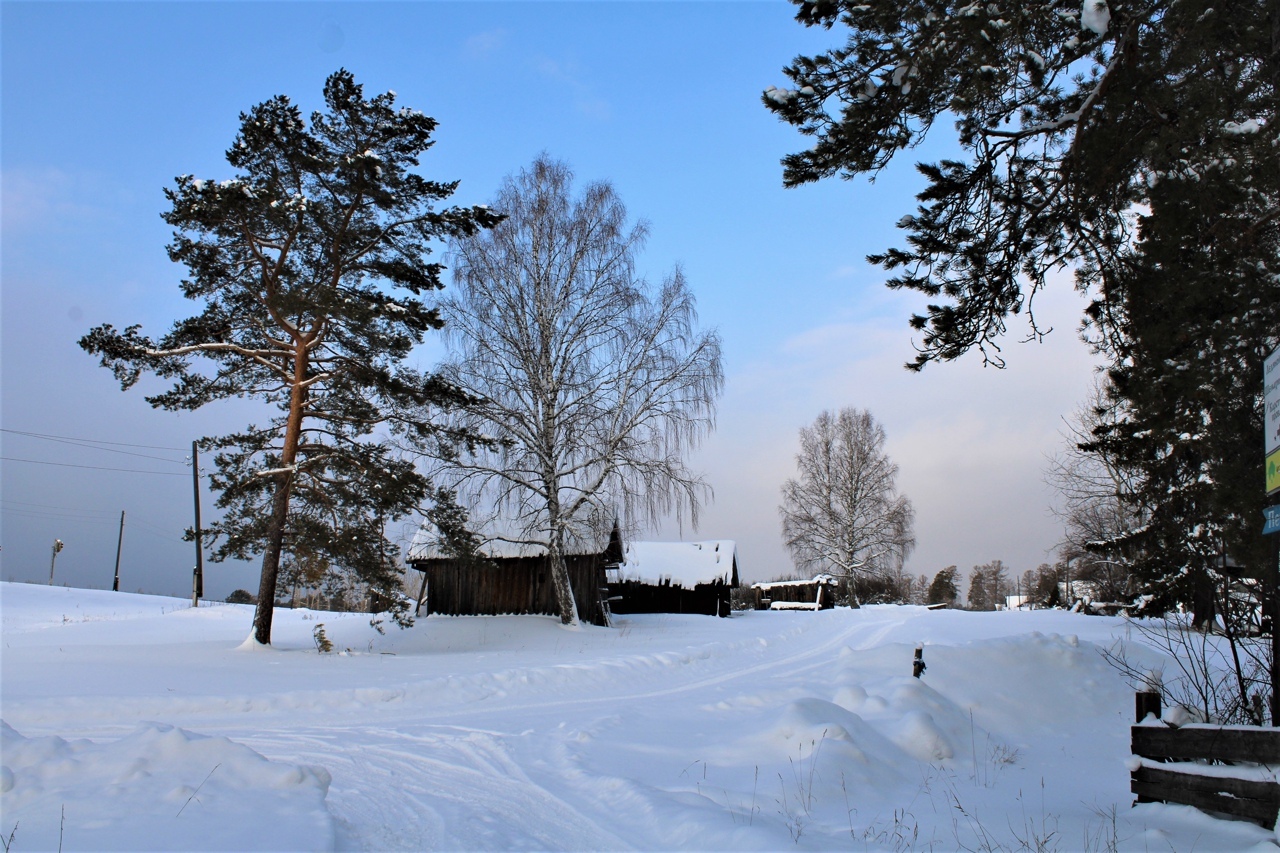 Winter forest - My, Winter, Tourism, Snow, The photo, Longpost, 