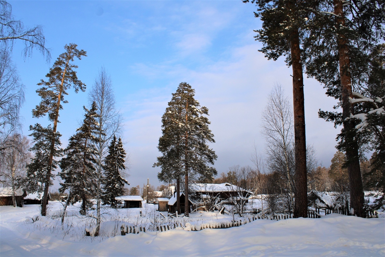 Winter forest - My, Winter, Tourism, Snow, The photo, Longpost, 