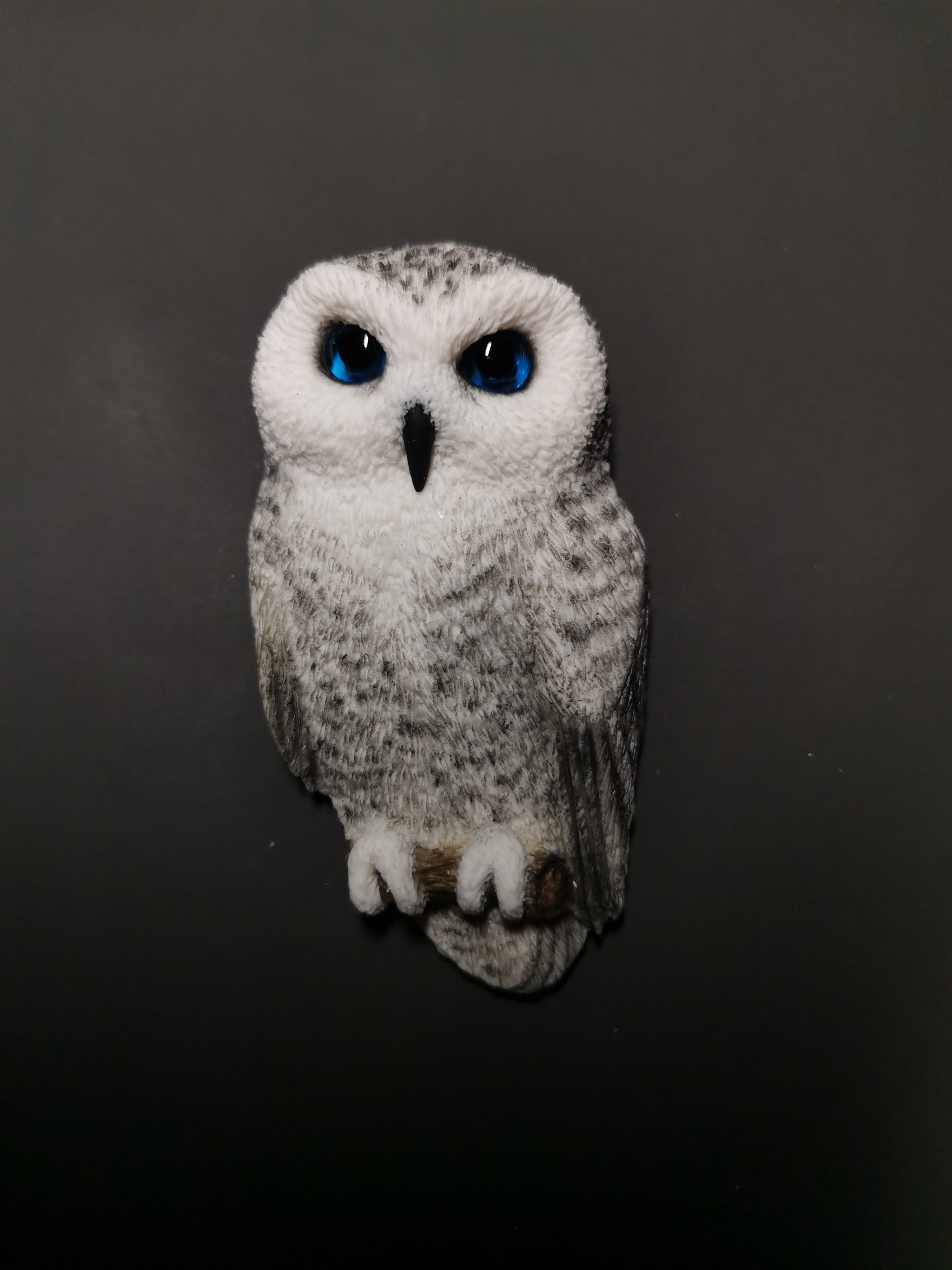 Brooch Extraordinary owl - My, Owl, Polymer clay, Brooch, Polar owl, Лепка, Needlework without process, Decoration, Longpost, 