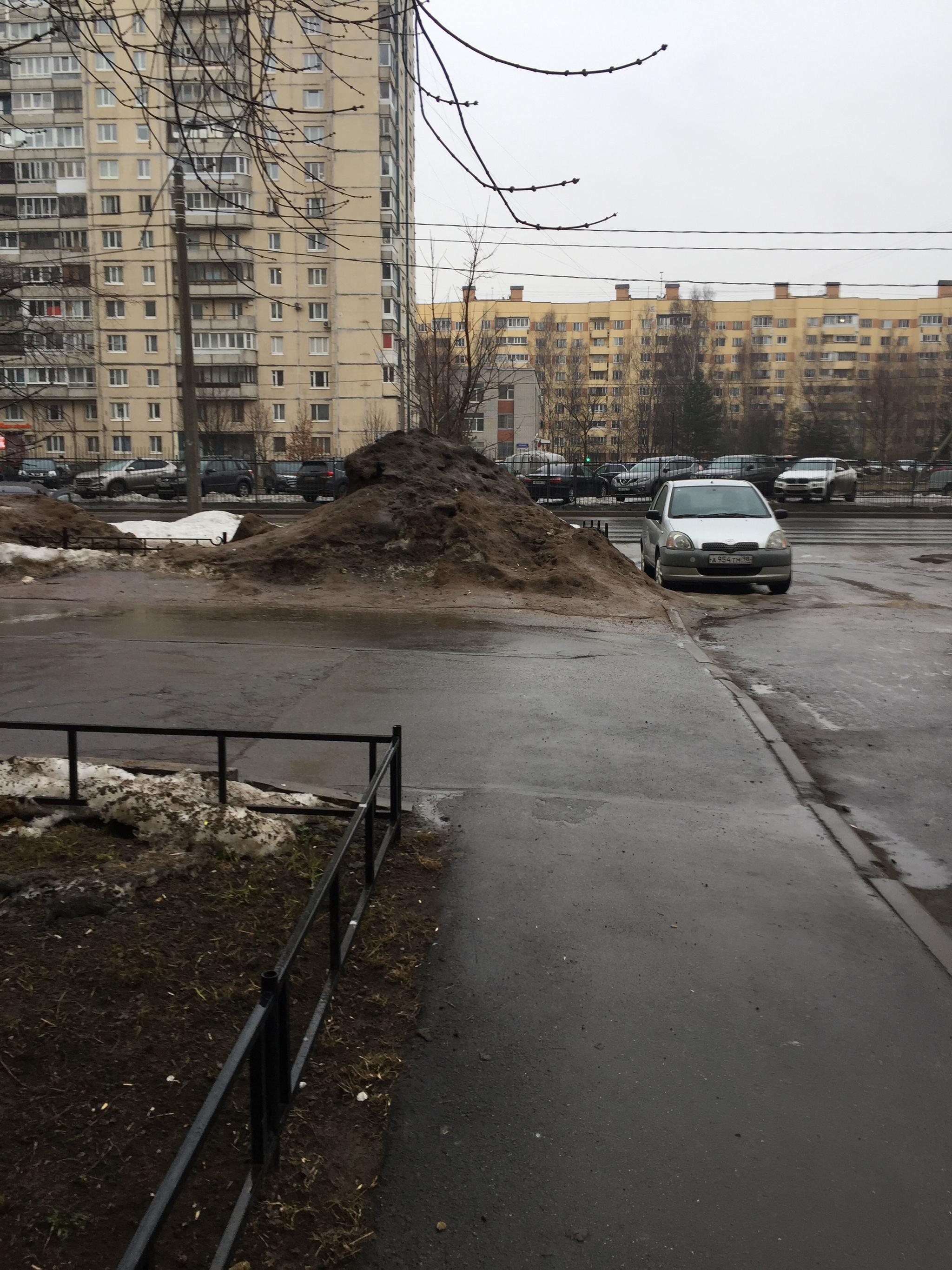 Kovno post or how to live well in Russia - My, Saint Petersburg, Garbage, Dirt, Snow, Cleaning, Spring, Town, Shock, Longpost, 