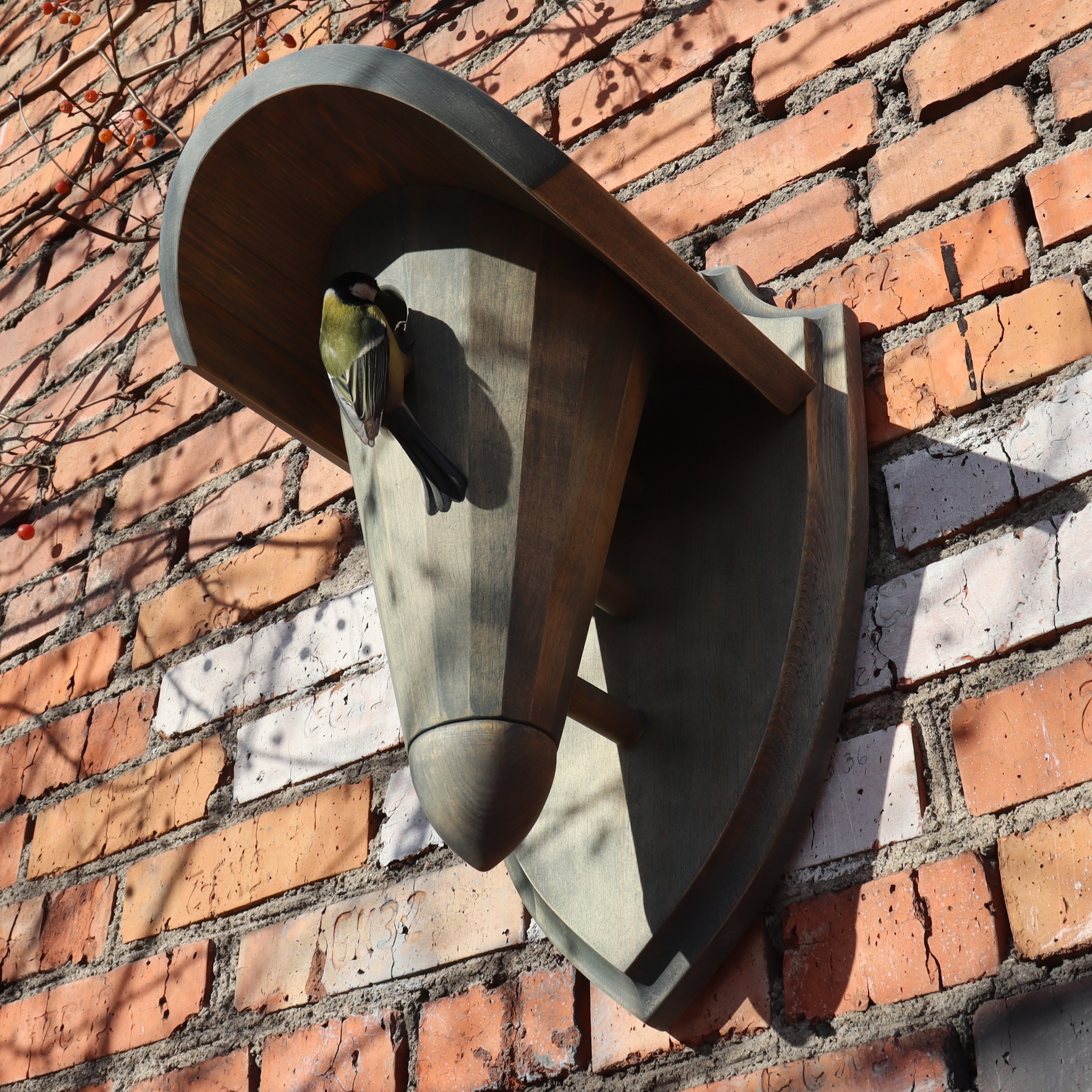 Wall-mounted titmouse - My, Beautification, Summer resident, Predator birds, Birds, Gardening, Tit, Nest, beauty of nature, The nature of Russia, Nature, Greenpeace, take care of yourself, Birds, Presents, Good mood, Pleasant trifles, Pleasant shapes, Sparrow, Chickadee, Longpost, 