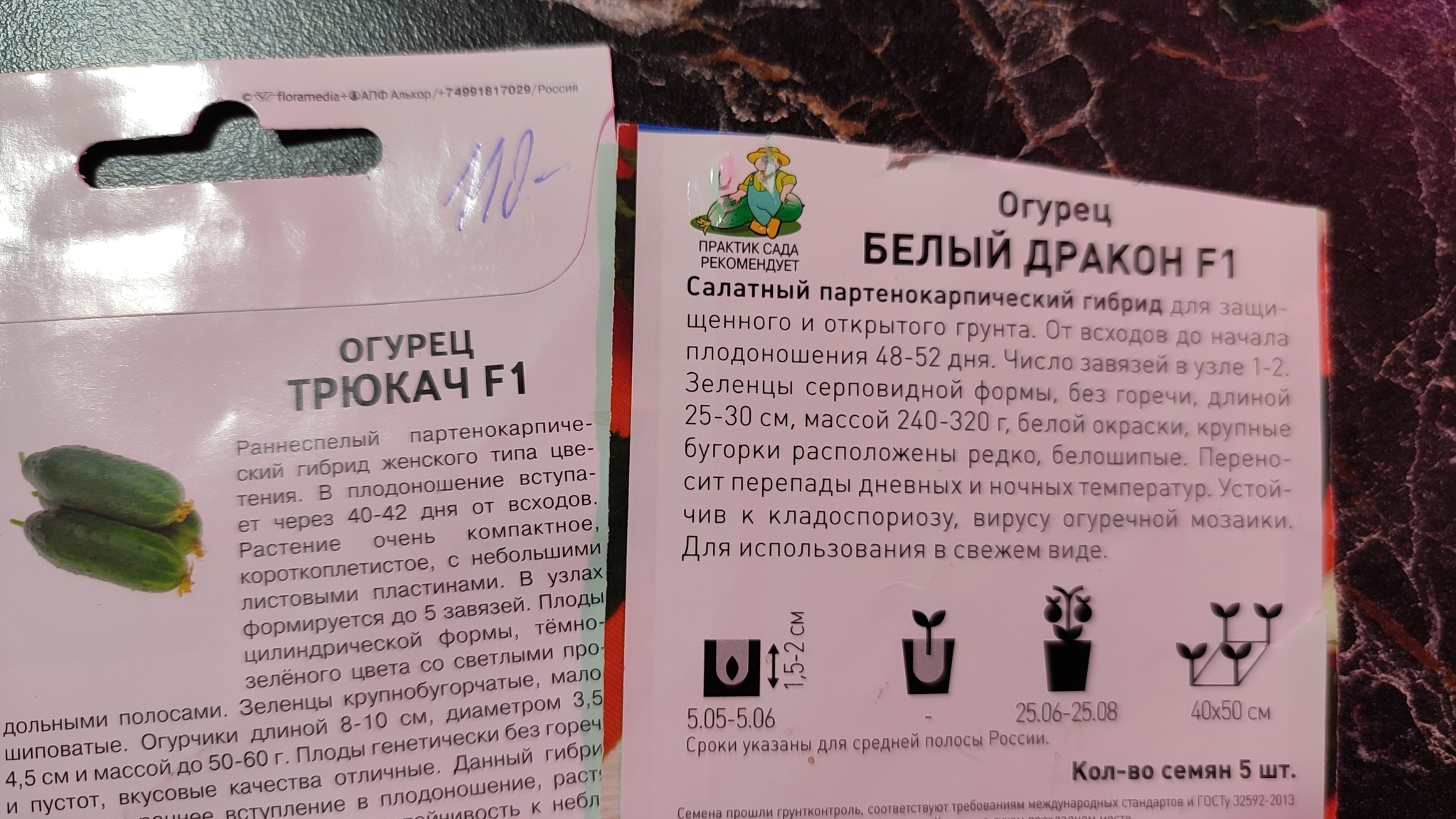 Как вырастить балконные огурцы в пакетах - и получить от них не только кусты, но и плоды - Моё, Комнатные растения, Растения, Длиннопост