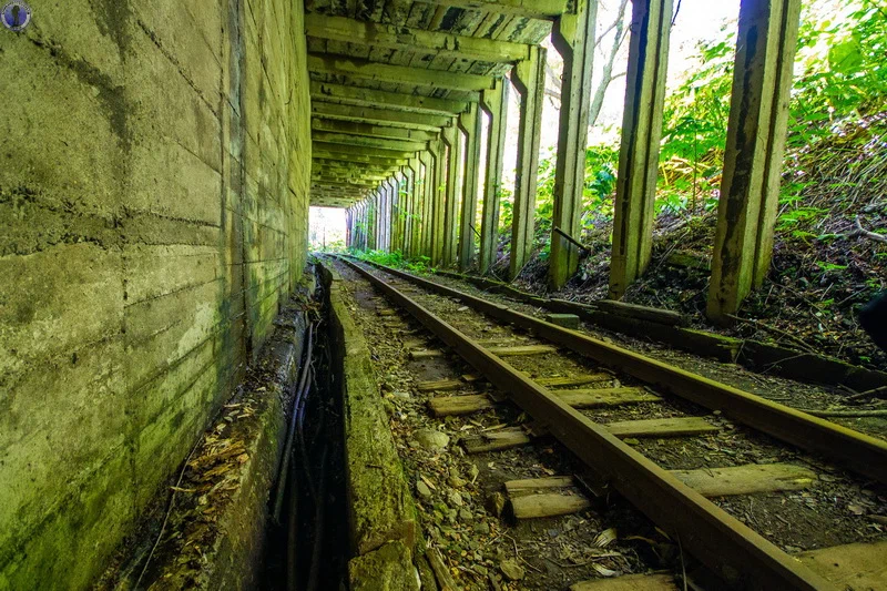 Abandoned on Sakhalin, the creepy Japanese Witch's Bridge and its railway tunnels - Sakhalin, Bridge, Narrow gauge, Railway, Abandoned, Japanese, the USSR, Yandex Zen, Longpost, 