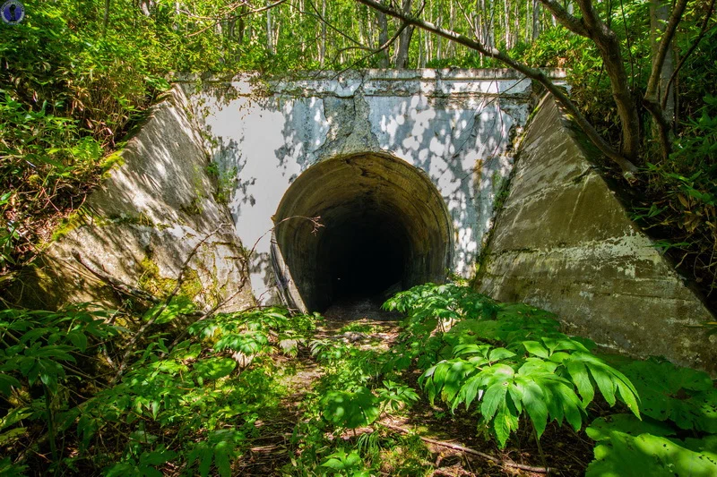 Continuation of the post Abandoned on Sakhalin creepy Japanese Witch Bridge and its railway tunnels - Sakhalin, Bridge, Narrow gauge, Railway, Abandoned, Japanese, the USSR, Yandex Zen, Reply to post, Longpost, 