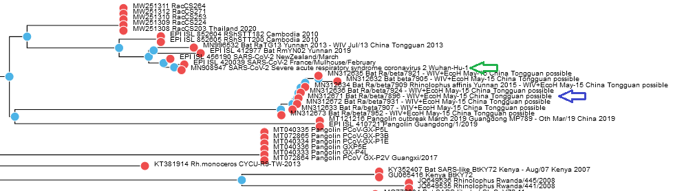 Virus (5) - My, Books, Book Review, Coronavirus, Pandemic, Politics, Virus, Conspiracy, Non-Fiction, Longpost