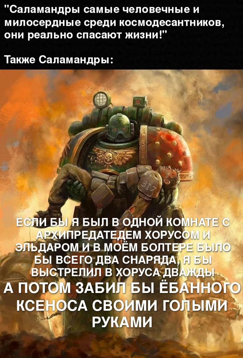 Типичные Саламандры - Warhammer 40k, Wh Humor, Космодесант, Adeptus Astartes, Eldar, Мат, Картинка с текстом