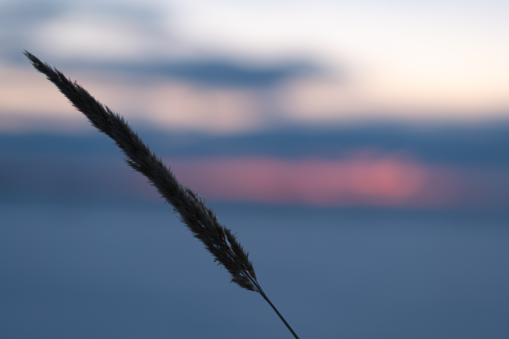 Waiting for the sun - My, Landscape, Morning, Chuvashia, 50mm, Sky, Bokeh, Field, dawn, Sunrises and sunsets, The sun