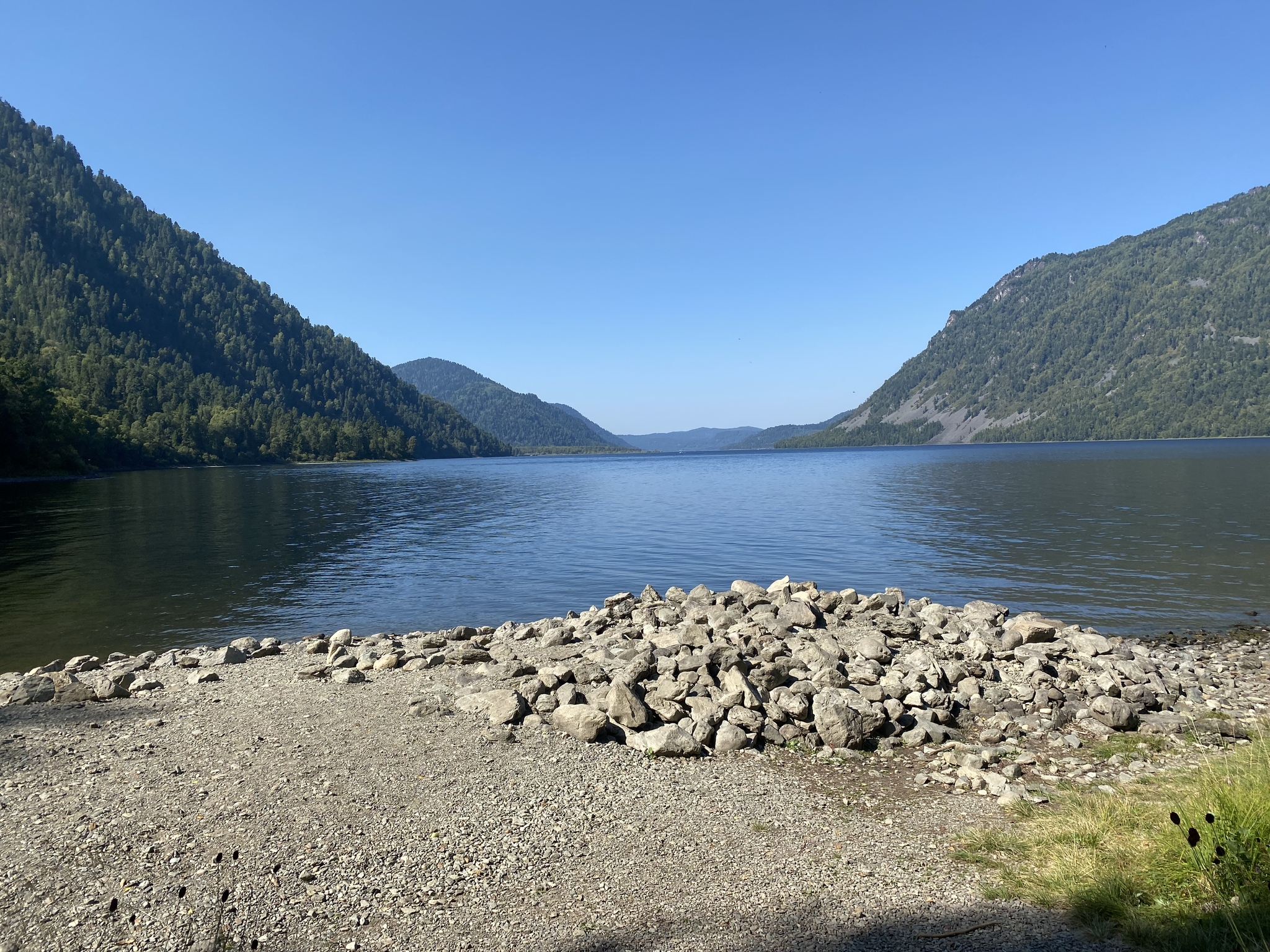 A piece of warm and sunny summer - My, Teletskoe lake, Altai Republic, Tourism, Lake, Mountainous terrain, wildlife