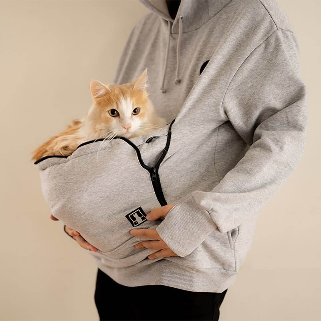 In Japan, announced a sweatshirt, with a pocket for cats - cat, Japan