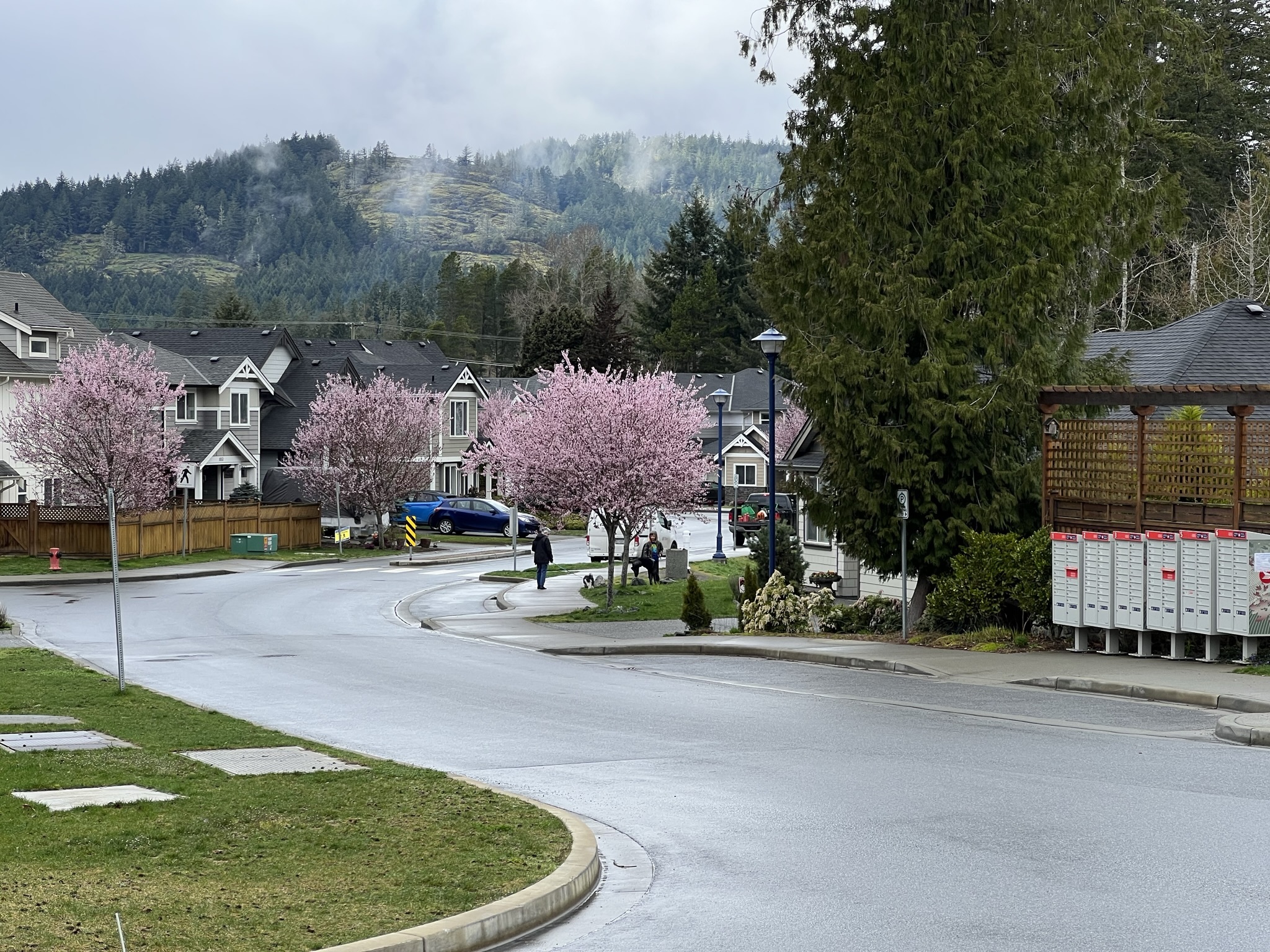 Canada - My, Town, The street, House, Road, Car, A life, beauty, Purity, Canada, Longpost, The photo