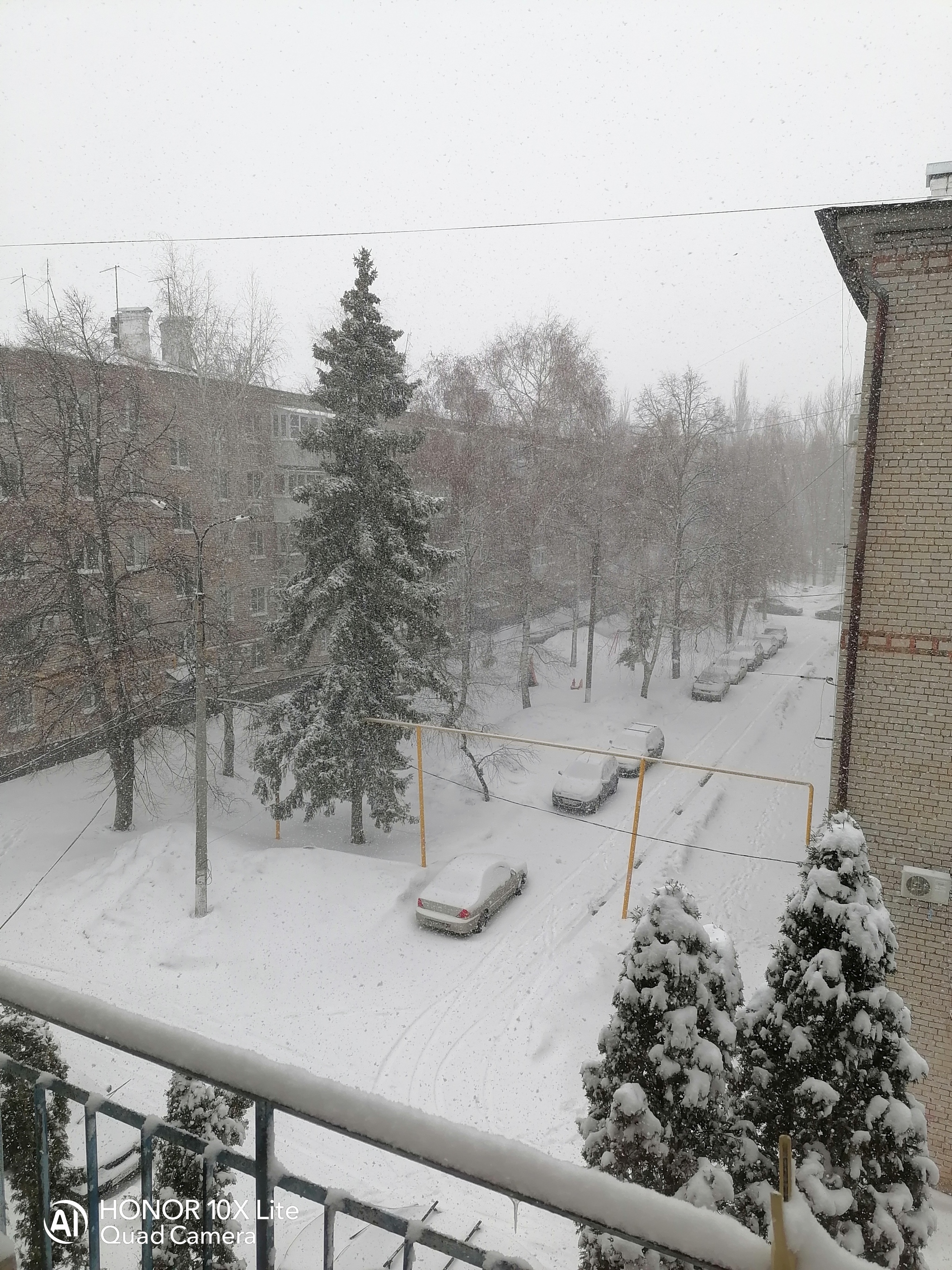 January 88... - My, Samara, Snow, Spring