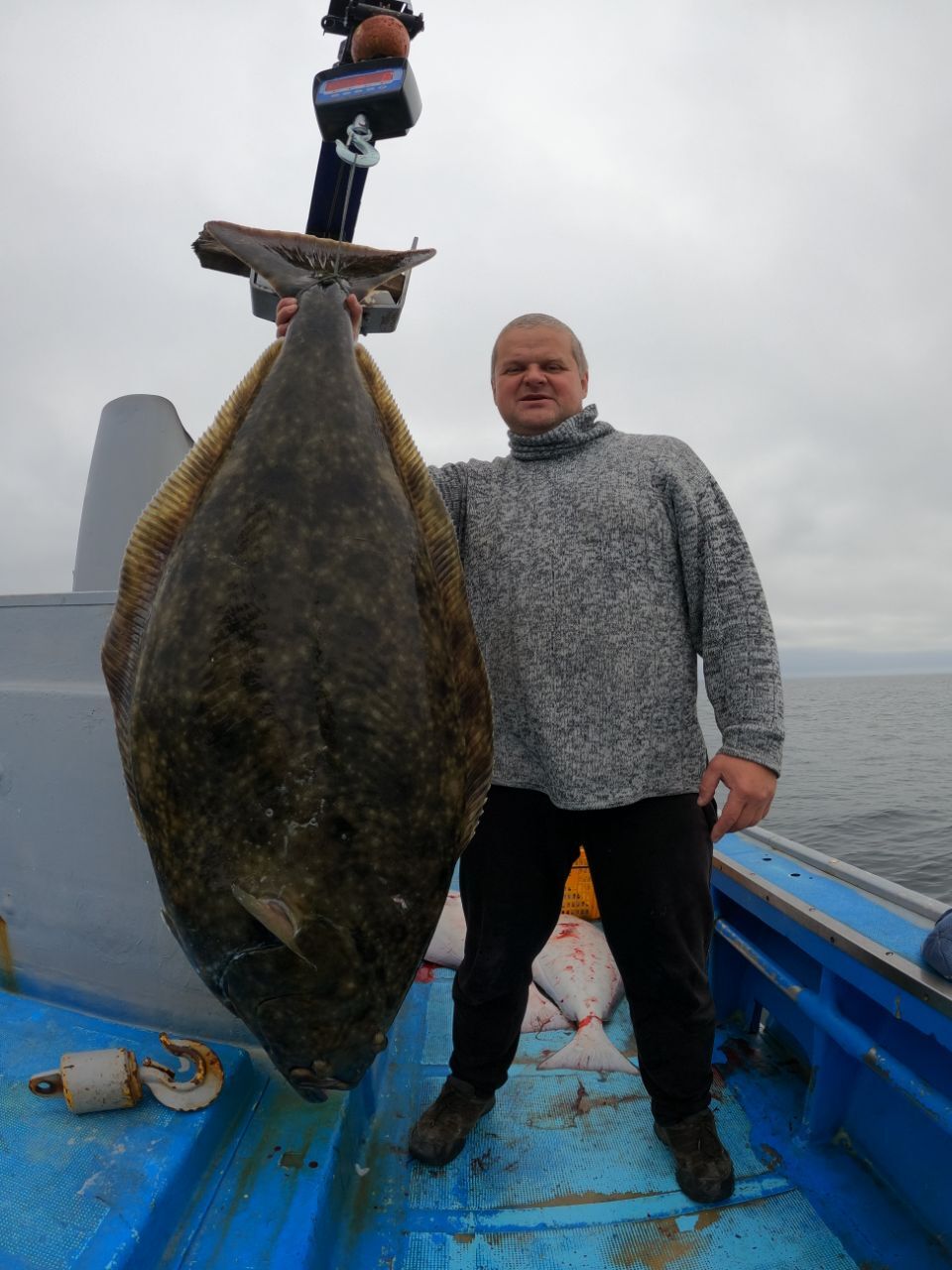 Nothing is such a fish - Fishing, Plaice, Halibut, Boat, Magadan Region, Sea, Video