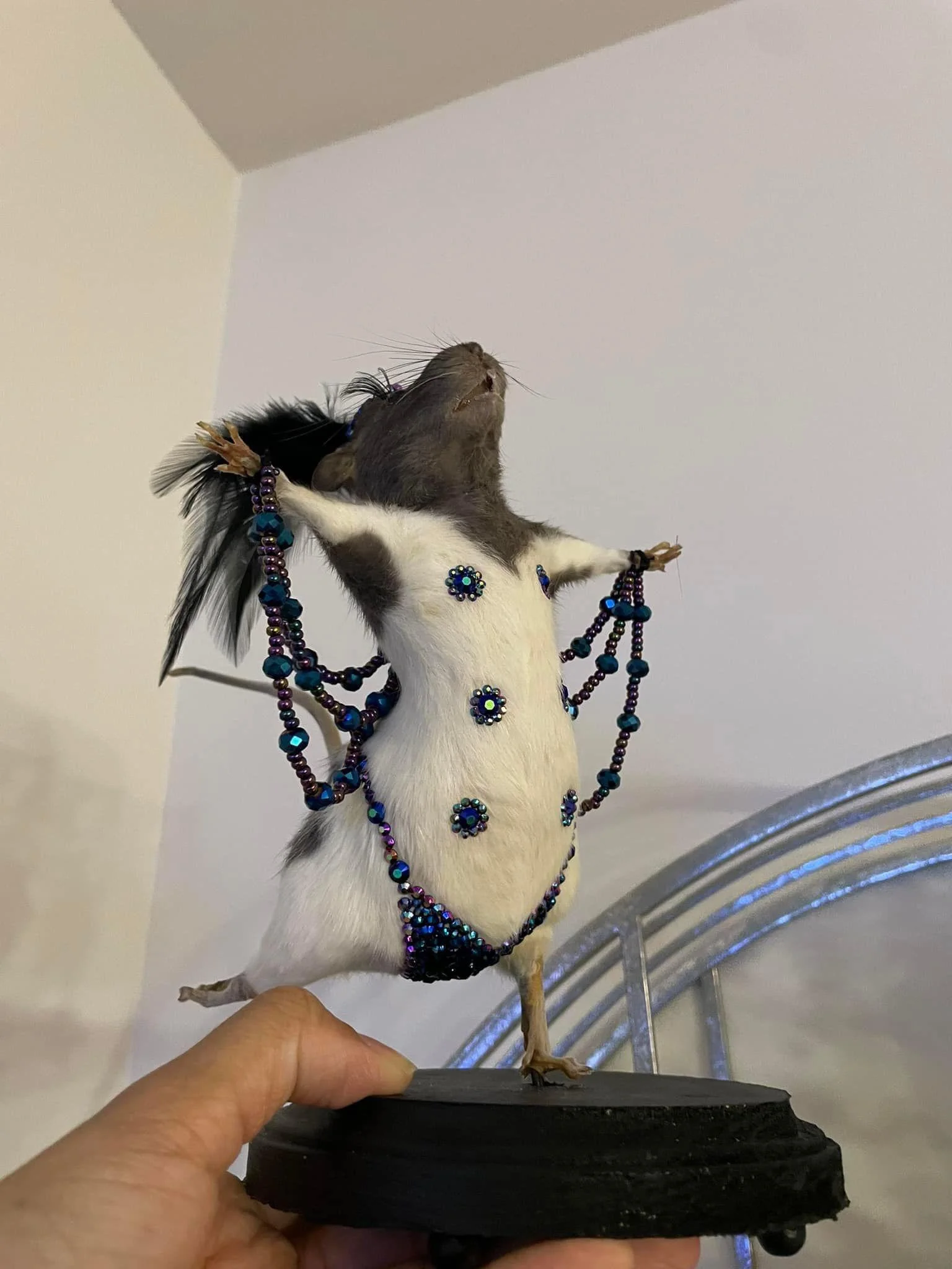 I've doubted the original adequacy of taxidermists before... - Taxidermy, Scarecrow, Rodents, Beads, Rat, Humor