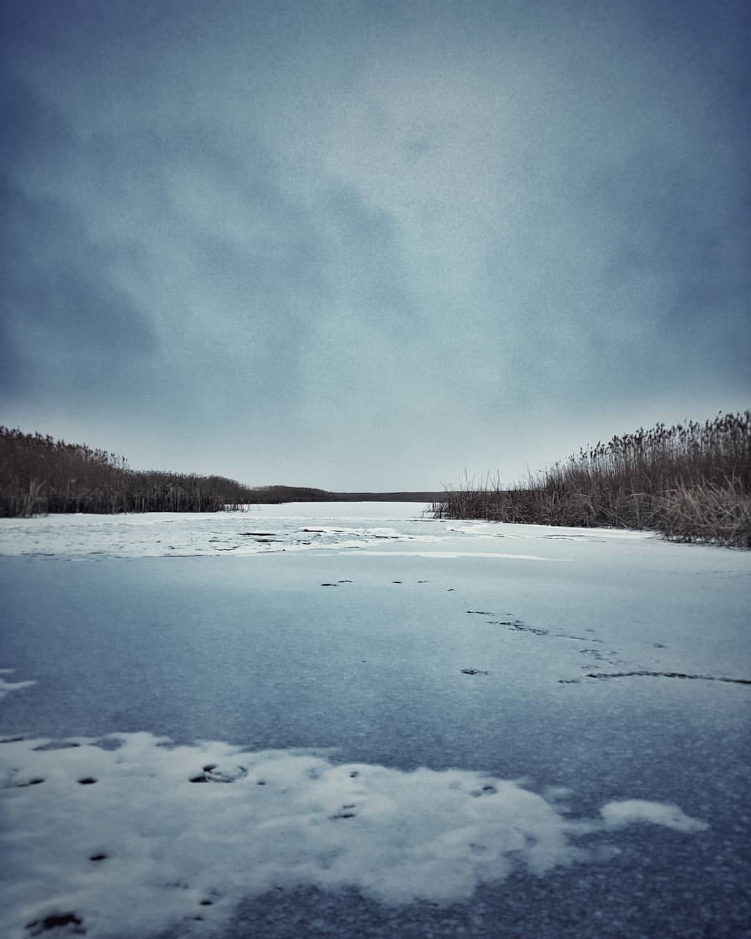 Ilmen - My, Landscape, The nature of Russia, Mobile photography, Ilmen, 