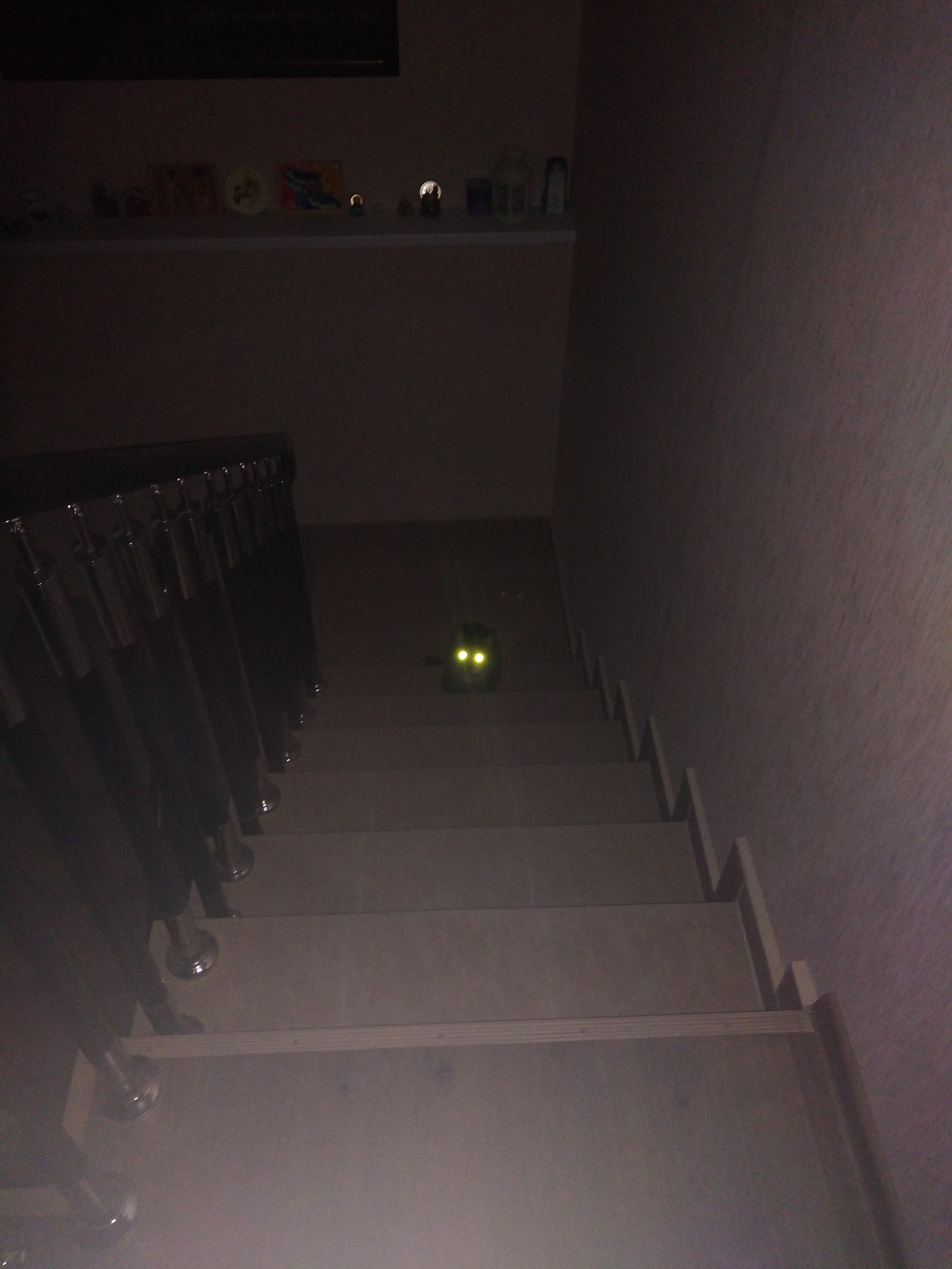 Find a cat - My, Stairs, cat