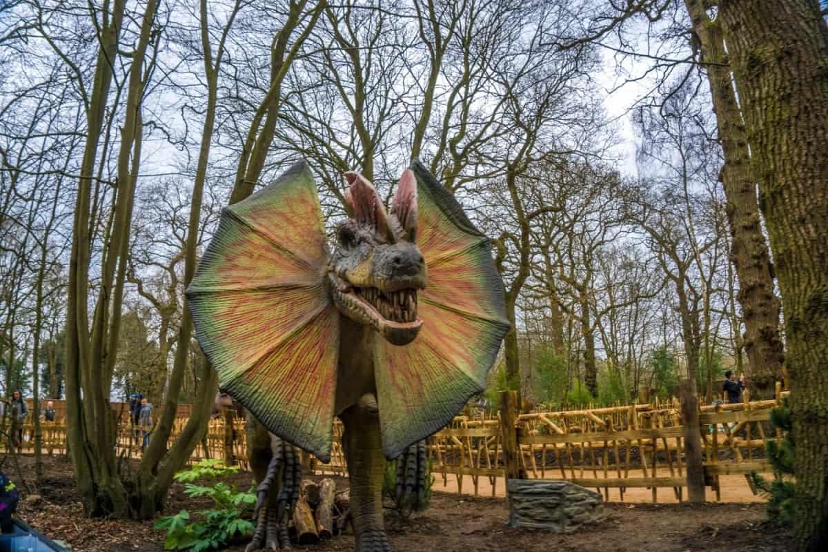 Paradise Wildlife Park – World of Dinosaurs | Пикабу