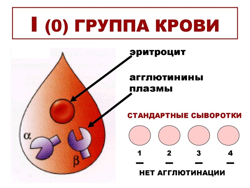 Группа крови и предрасположенность. ч. 1 | Пикабу