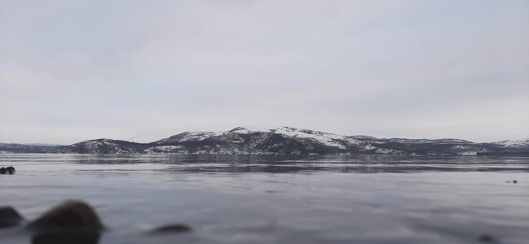 Photo - My, Mobile photography, Nature, The bay, Flowers, Murmansk, Longpost, 