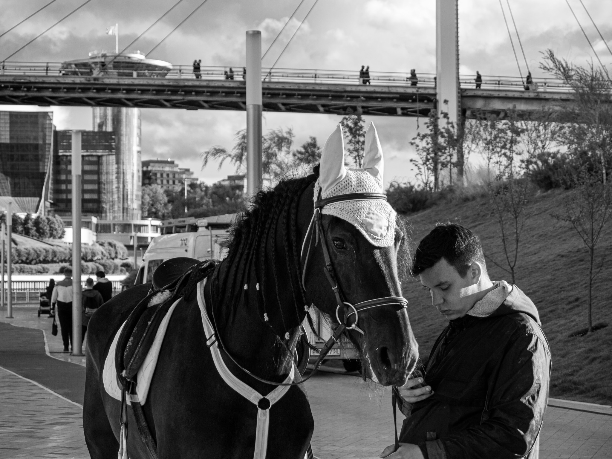 At halftime - My, Street photography, Amateur photography, Horses, People, Black and white photo, 