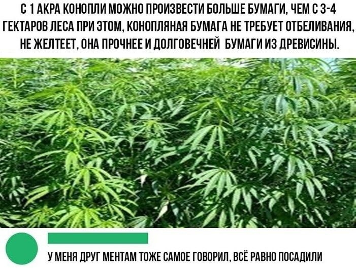 It also seems to me that it will not work despite the prices of paper. - Paper, Prices, Roskomnadzor, Humor, Hemp, 