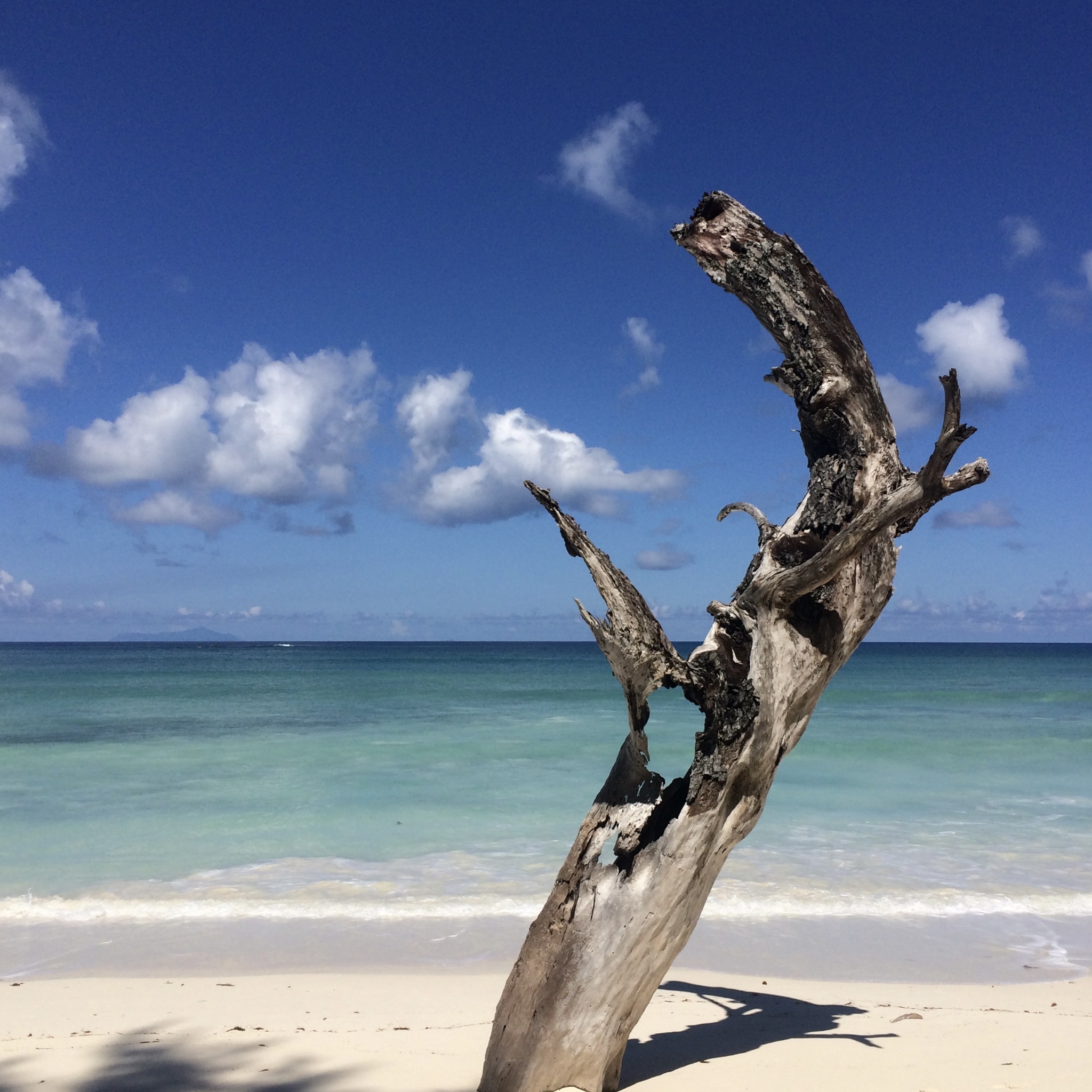 Seychelles. Wood Burnt: Night and Day - My, Seychelles, Lightning, The photo, Travels, 